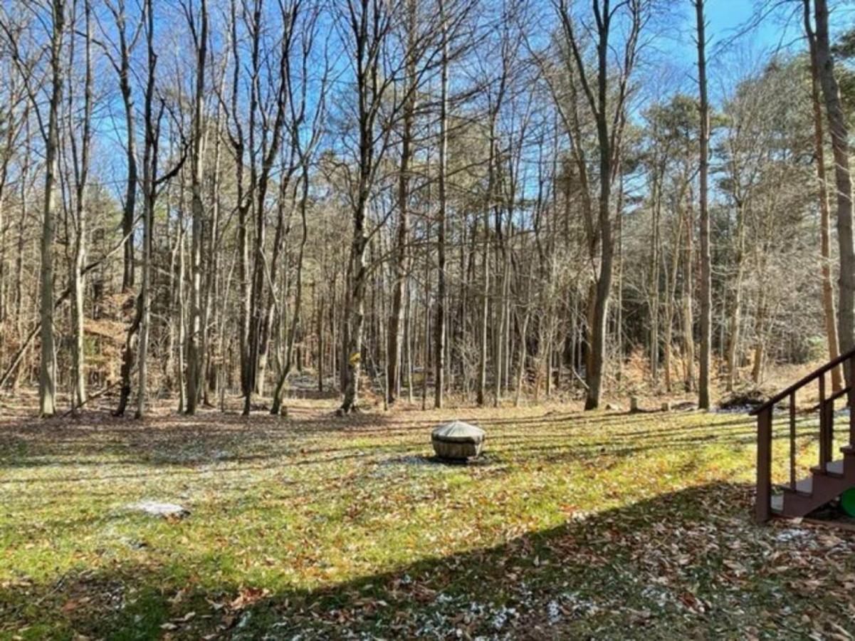Cozy Cottage Near Cook Forest Park, Anf Marienville Bagian luar foto